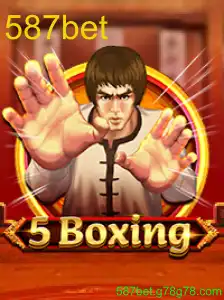 5Boxing
